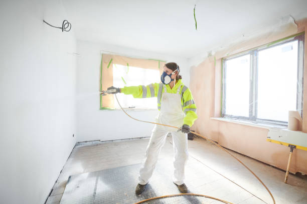 Mold Odor Removal Services in Clyde, TX
